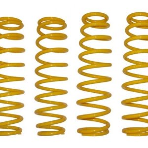 Can-Am Commander 6″ Lift Kit Replacement Springs Set Of 4 Springs by SuperATV